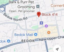 Blk 414 Garden Hill (Bedok), HDB 5 Rooms #563498821